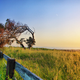 Illustration for article titled Shooting Challenge: HDR Gallery Part 3